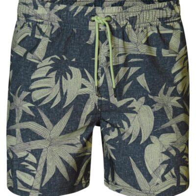 Petrol - M-1040-SWS953_6158