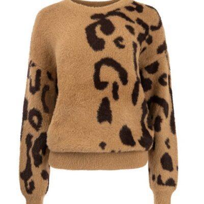 NED fashion